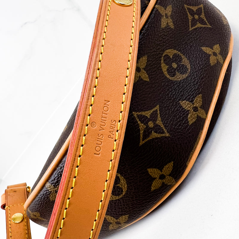 Louis Vuitton Loop Monogram Chain Bag