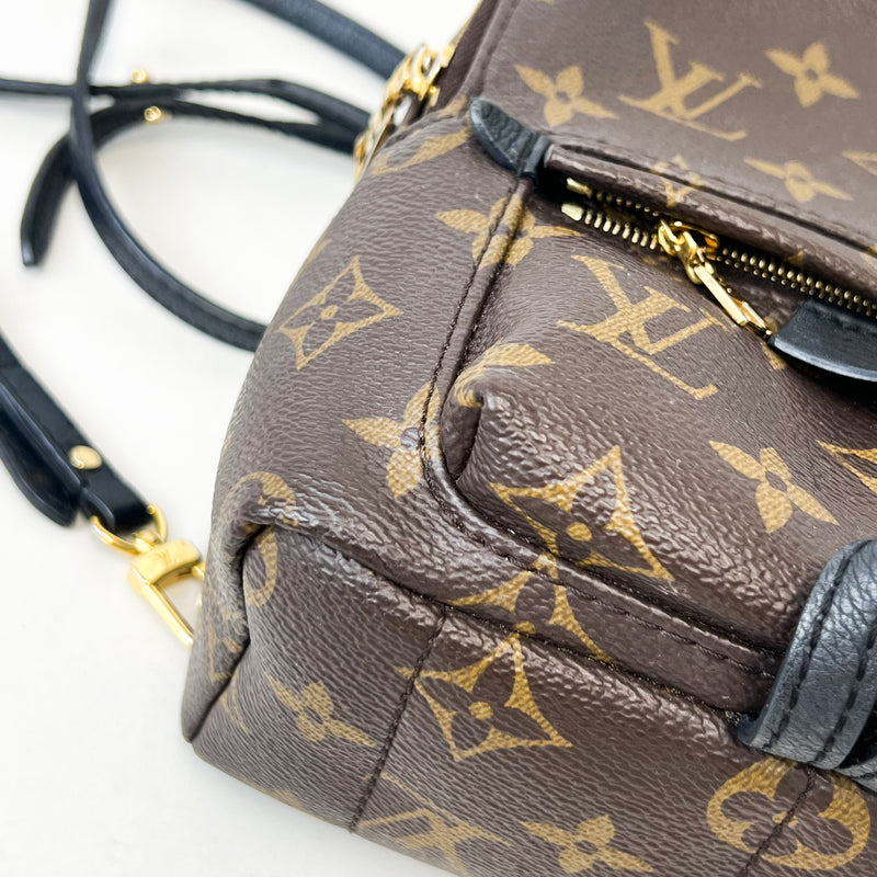 Louis Vuitton Palm Springs Mini