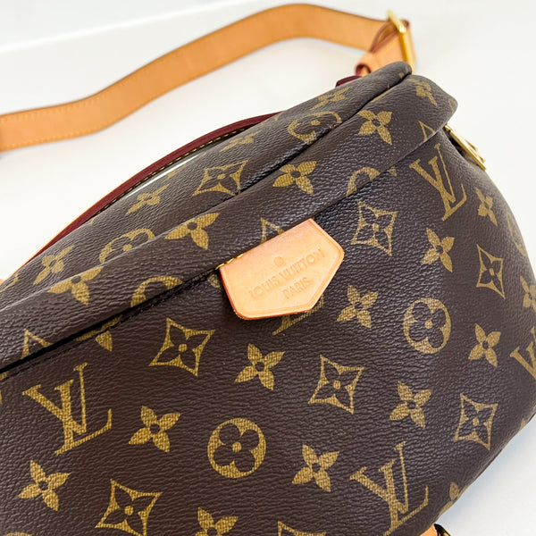 Louis Vuitton Monogram Canvas Bumbag